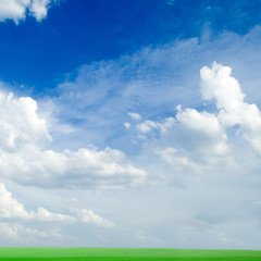 Naklejka na ściany i meble Green field, the blue sky, white clouds. A landscape.