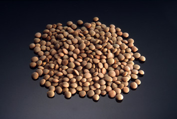 lenticchie