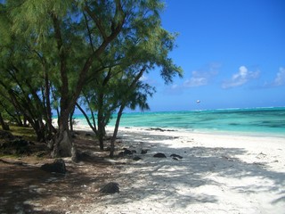Mauritius - Ile aux Cerfs (Indian Ocean)