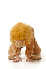 The boy in a fancy dress of a lion