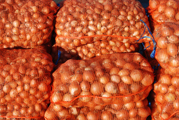 Pack  of onion at farm or market