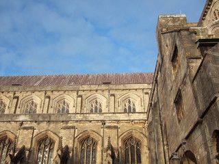 Fototapeta premium cathedral