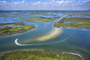Coastal wetland marsh. - obrazy, fototapety, plakaty