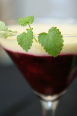 Dessert Rote Grütze mit Vanillesoße und minze
