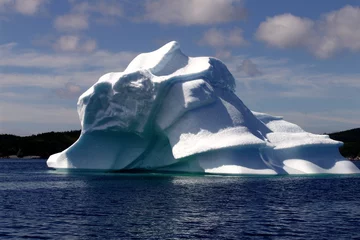 Fotobehang visage sur iceberg © alainder