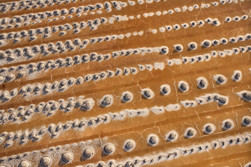 Owens Valley, California.