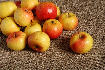 Bright ripe apples on sackcloth