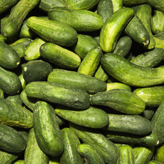 Pile of green cucumbers at produce market.