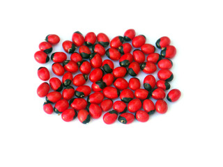 pavé de cascavelles