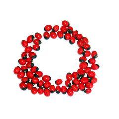 rond de coccinelles