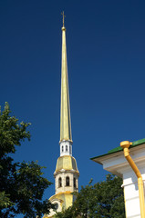 spire, roof and tree