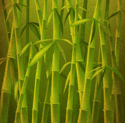 design of bamboo trees, illustration background