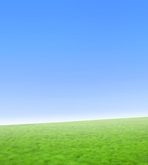 Fototapeta na wymiar Simple nature background with green grass and blue sky