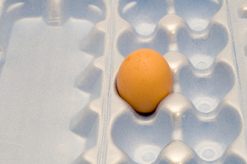 object on white - food - egg