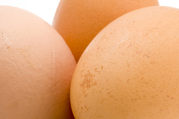 object on white - food - egg