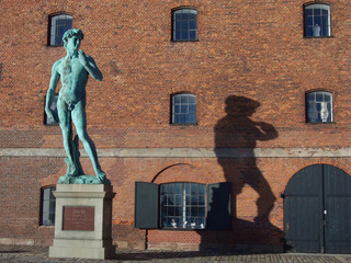 Naklejka premium David and his shadow