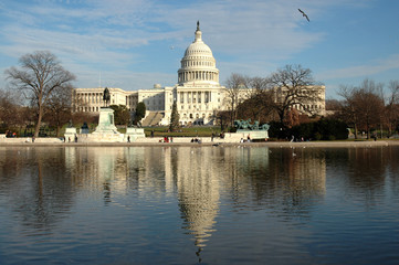 Obraz premium The Capital Building