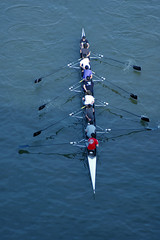 Rowers © dwight9592