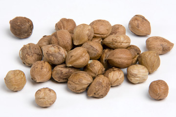 Noisettes et fruits secs