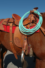 Western Ranch Saddle and Roope On Sorrel Horse