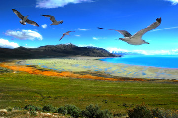Naklejka premium Great Salt Lake in Utah