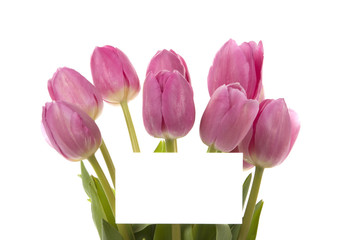Elegant tulips with blank card