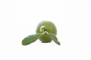 olive 112