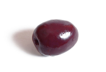 olive 116