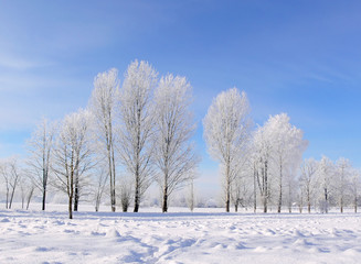 Winter scenery