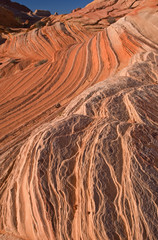 Landscape Coyote Buttes Paria Canyon-Vermillion Cliffs 