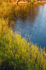 the green riddle tangle on the country lake