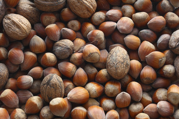 hazel nuts and nuts in pattern