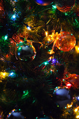 Christmas tree night