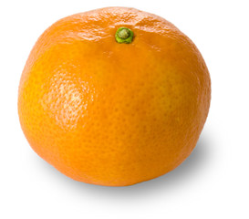 Tangerine on white background