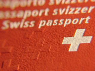 auschnitt schweizer pass