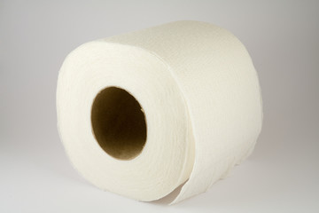 Toilet Paper