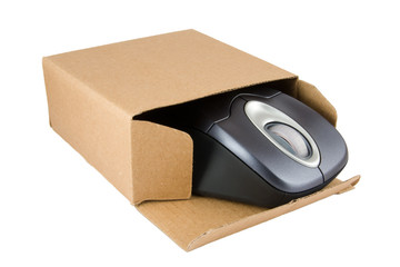 PC Mouse in Cardboard Box
