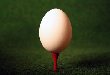 Pegged egg for careful hitting when glofing - 5468948