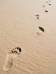 footprints on sand at a desert beach