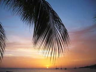 Fototapeten Karibik-Tour, Isla de Magarita, Venezuela, Sonnenuntergang © garteneidechse
