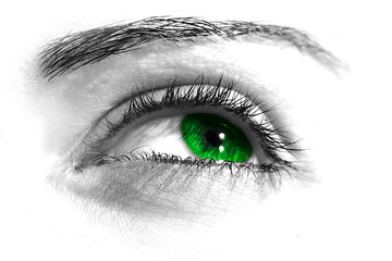 Green eye - 5470766