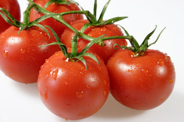 Frische Tomaten im Detail
