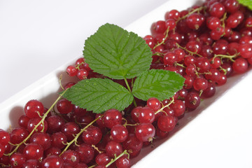Johannesbeeren in einer Schale auf hellem Hintergrund