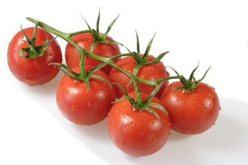Frische Tomaten auf hellem Hintergrund