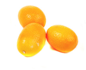 kumquat