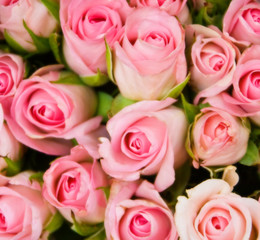 Bouquet of roses soft focus, background motifs
