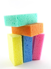 Sponges