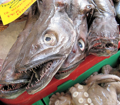 Fishmarket