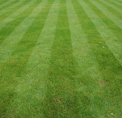 Lawn cut with stripes