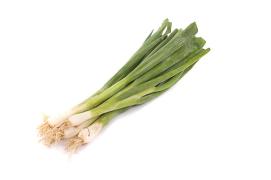 young green onion on the white background